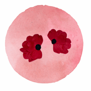 Amapola