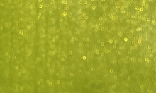 Verde metalizado