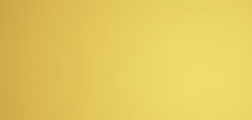 Dorado